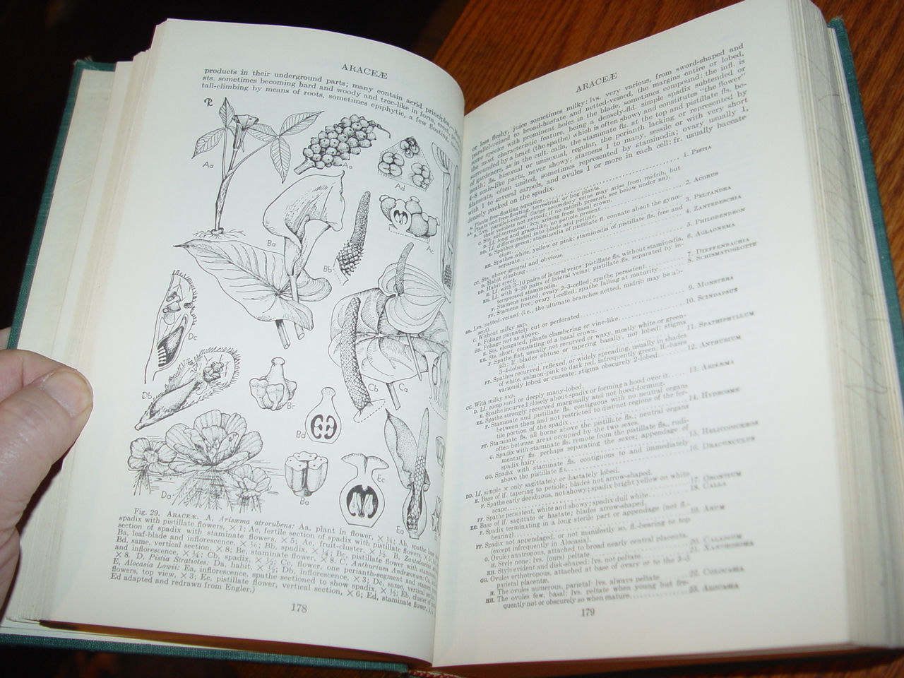 Manual Of Cultivated Plants,1977 by
                                L. Bailey