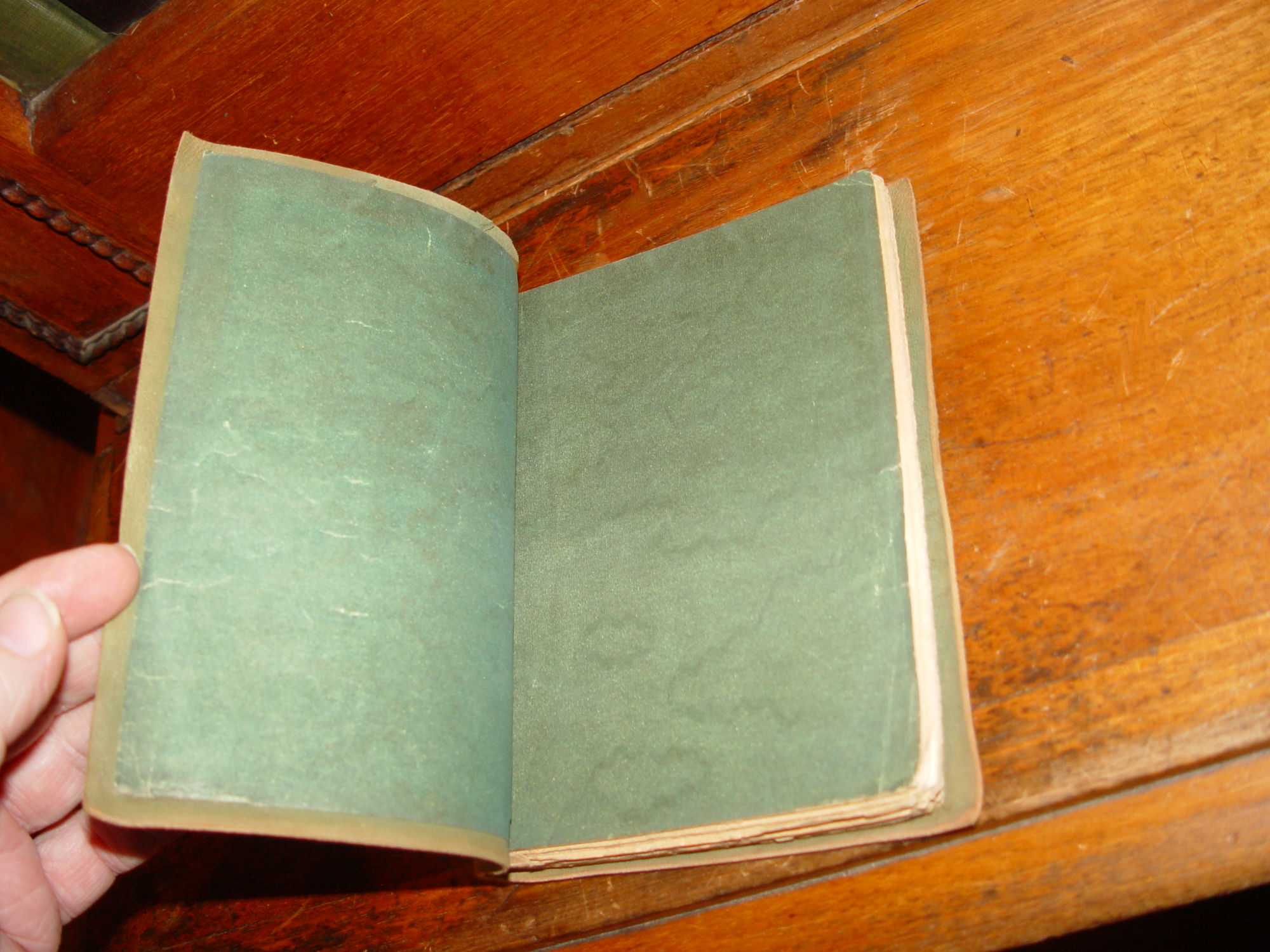 A Child's Garden of Verses; Robert L.
                            Stevenson Soft Leather 1900s