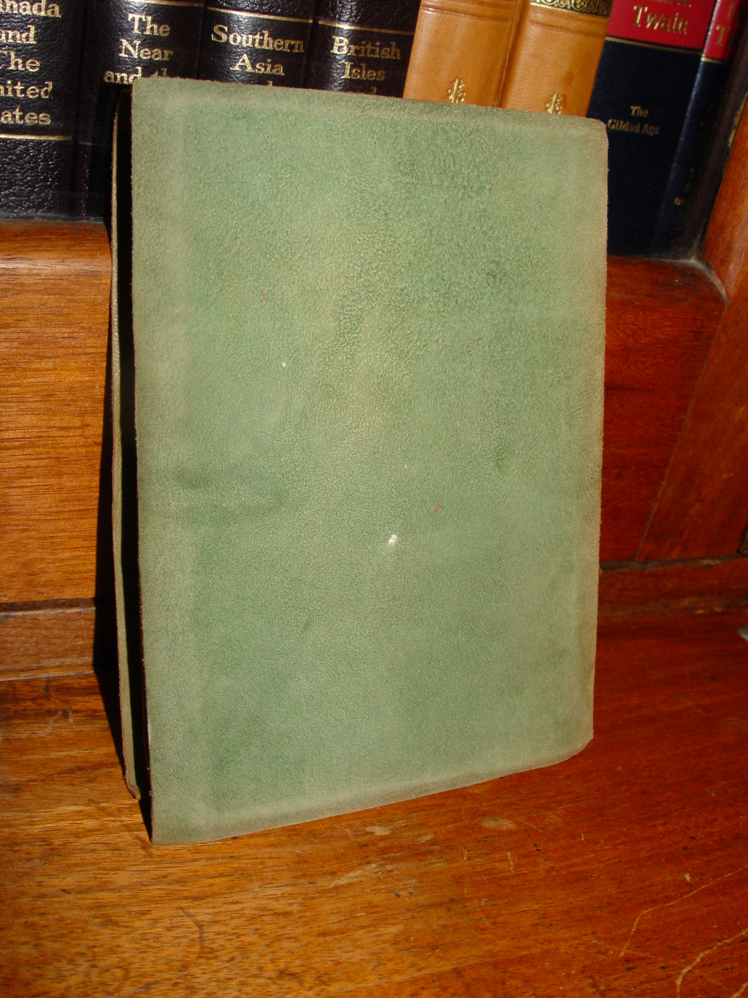 A Child's Garden of Verses; Robert
                                L. Stevenson Soft Leather 1900s