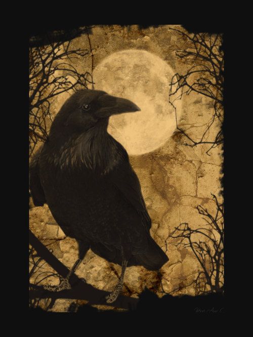 The Raven
                                                          Gallery
                                                          Antiques