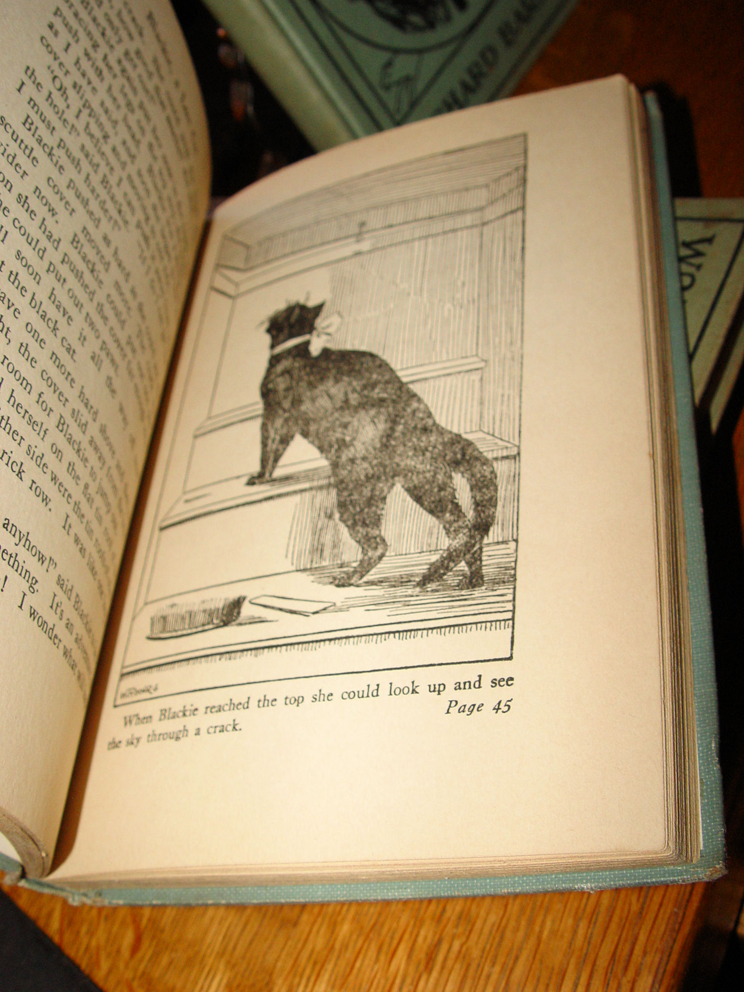 Antique Kneetime Animal Stories, Set of 5
books Richard Barnum