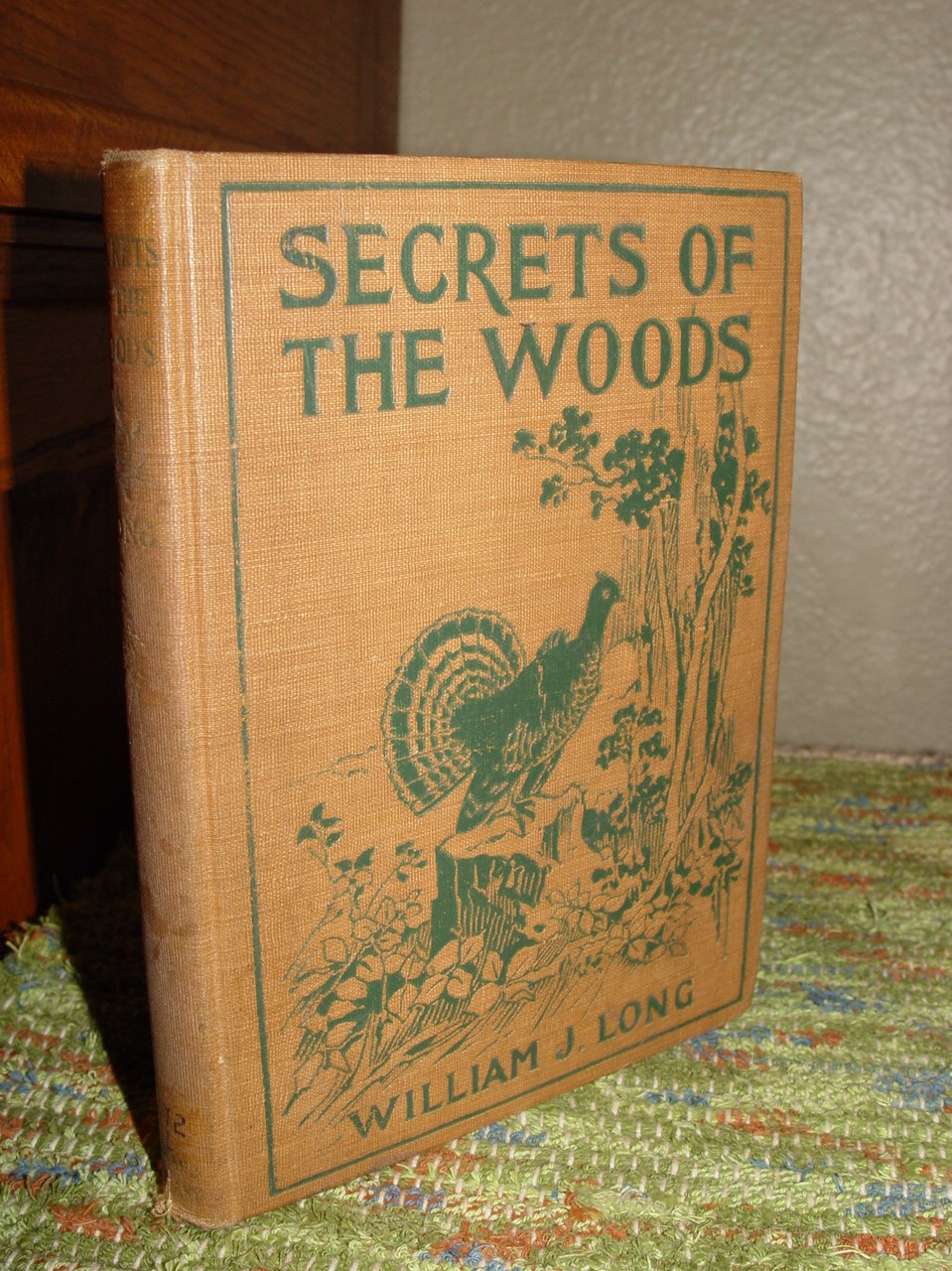Secrets of the
                        Woods 1901 - Wood Folk Series Book Three by
                        William J. Long; Ginn & Co