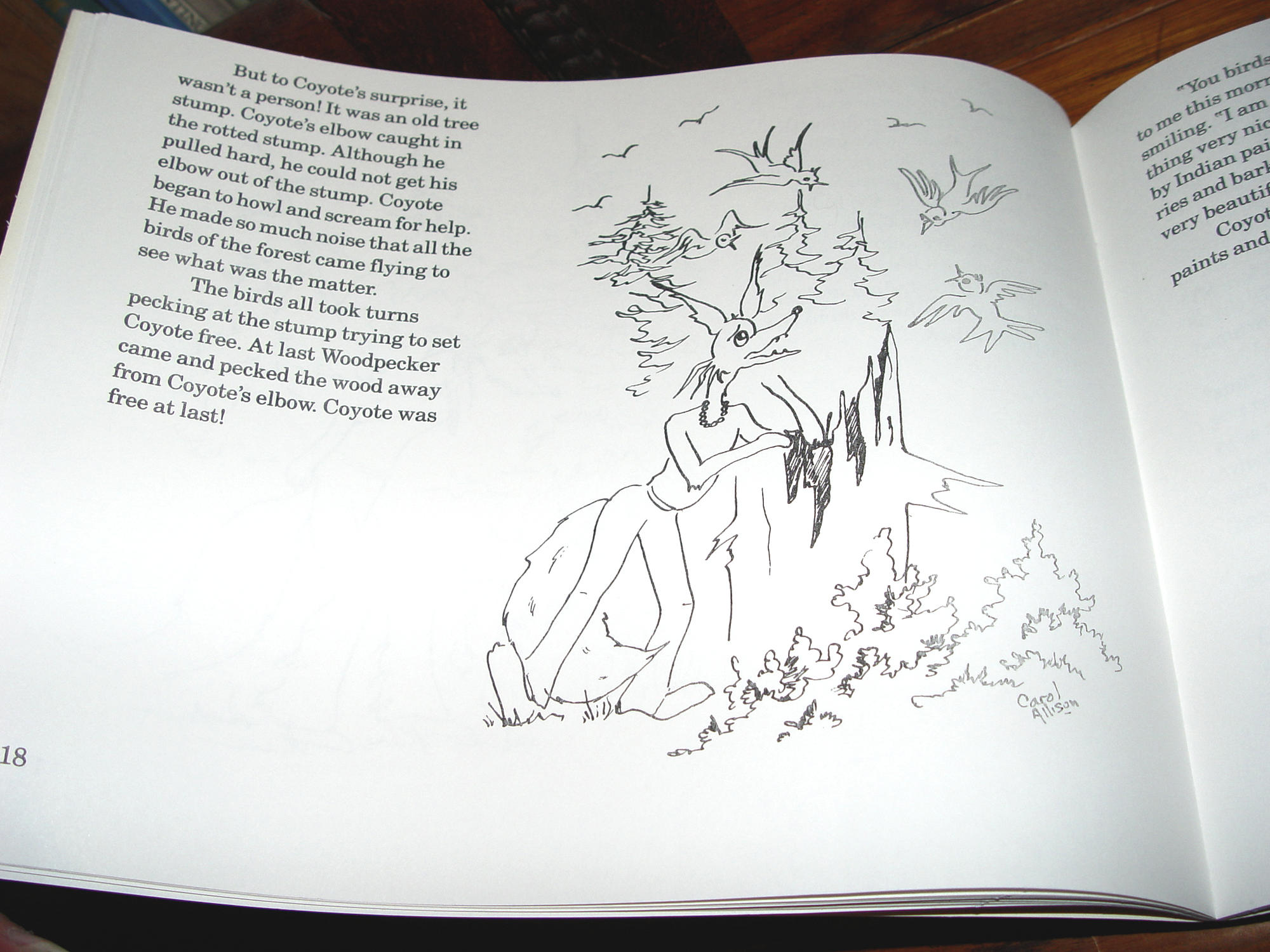 Coyote – The Indian Reading Series (Level
IV, Book 5)