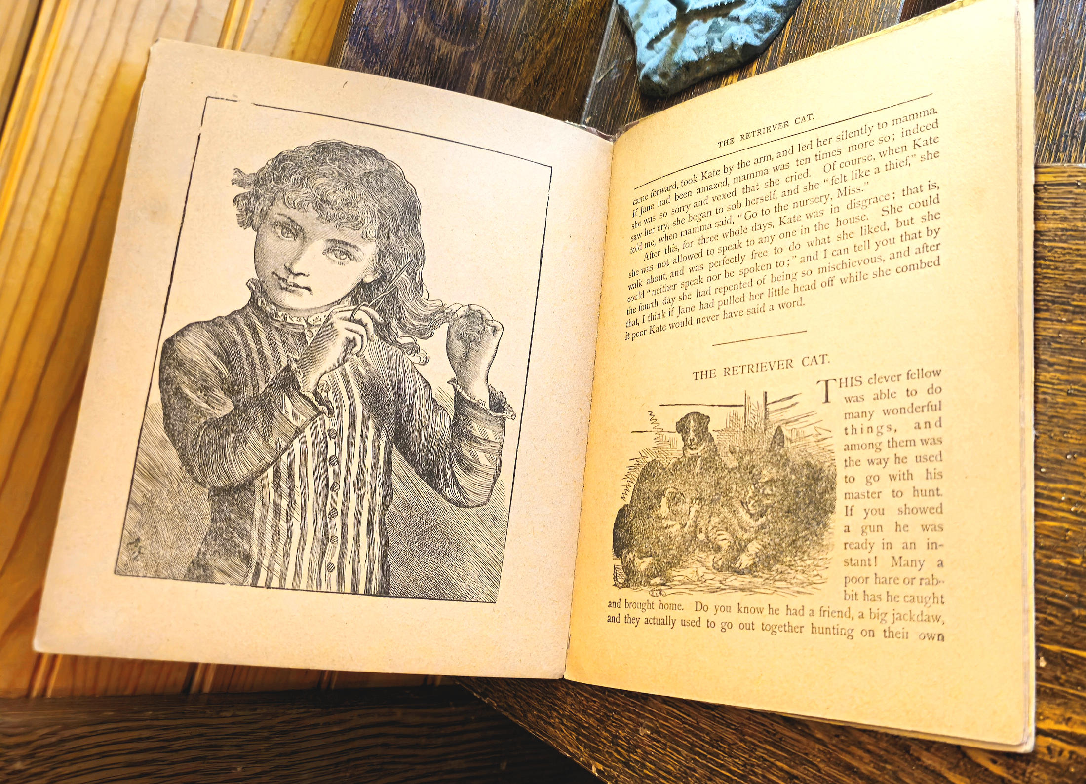 Elizabeth’s Favorite Story Book – Hurst & Company (early 1900s)
Illustrated