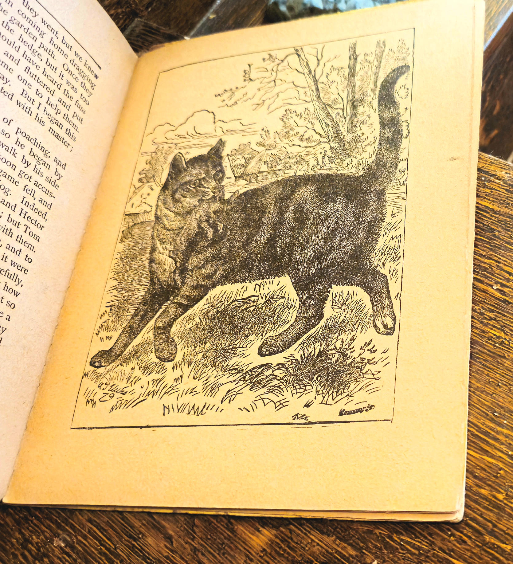 Elizabeth’s Favorite Story Book – Hurst & Company (early 1900s)
Illustrated