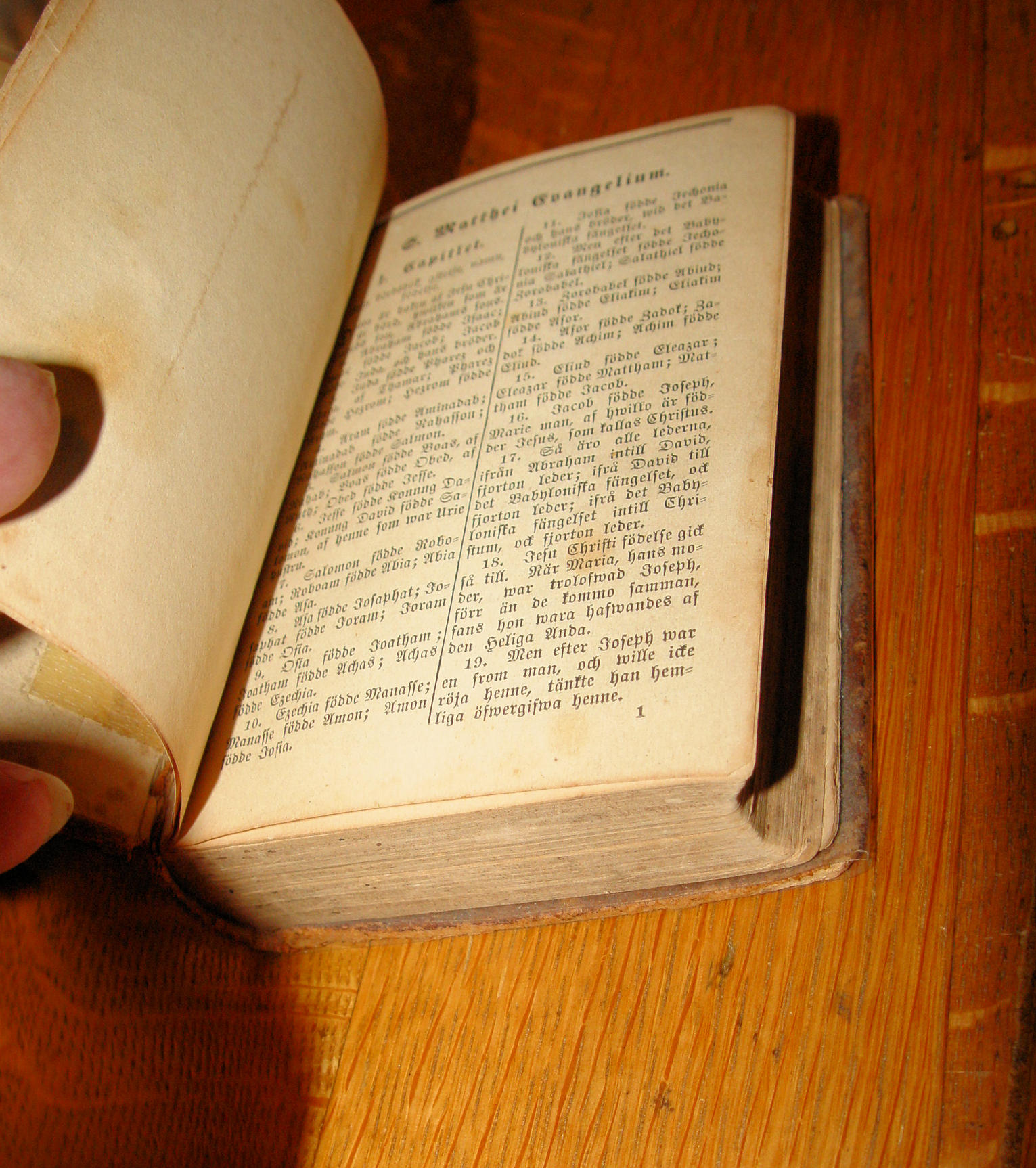 Nya Testamentet med Psaltaren – Swedish
New Testament with Psalms (Stockholm, 1881)
