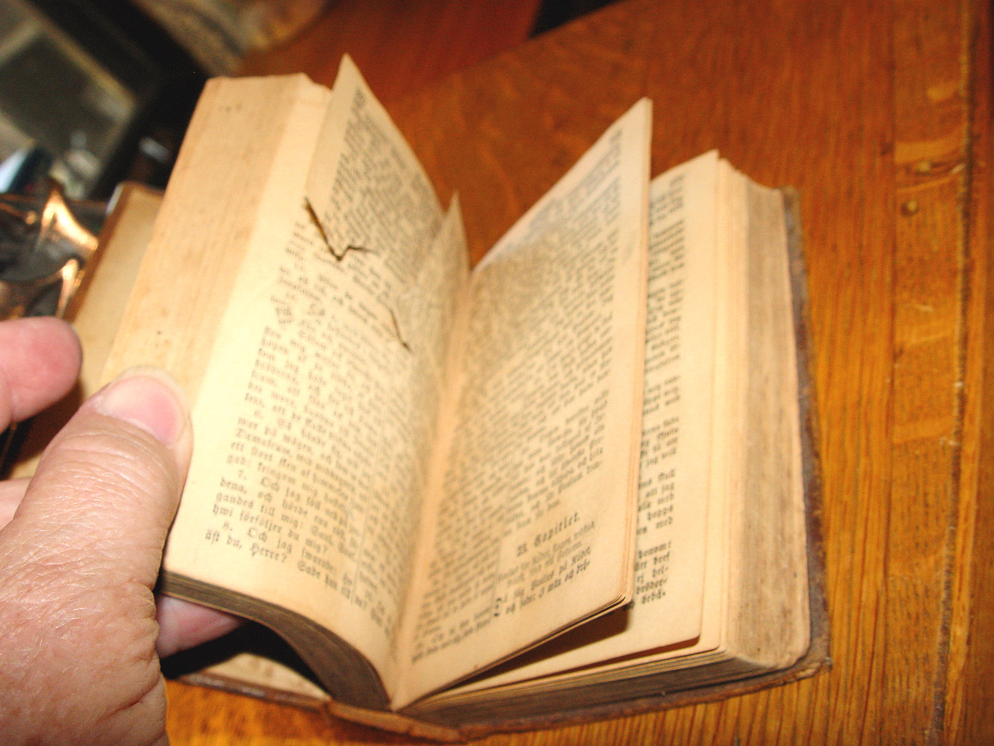 Nya Testamentet med Psaltaren – Swedish
New Testament with Psalms (Stockholm, 1881)