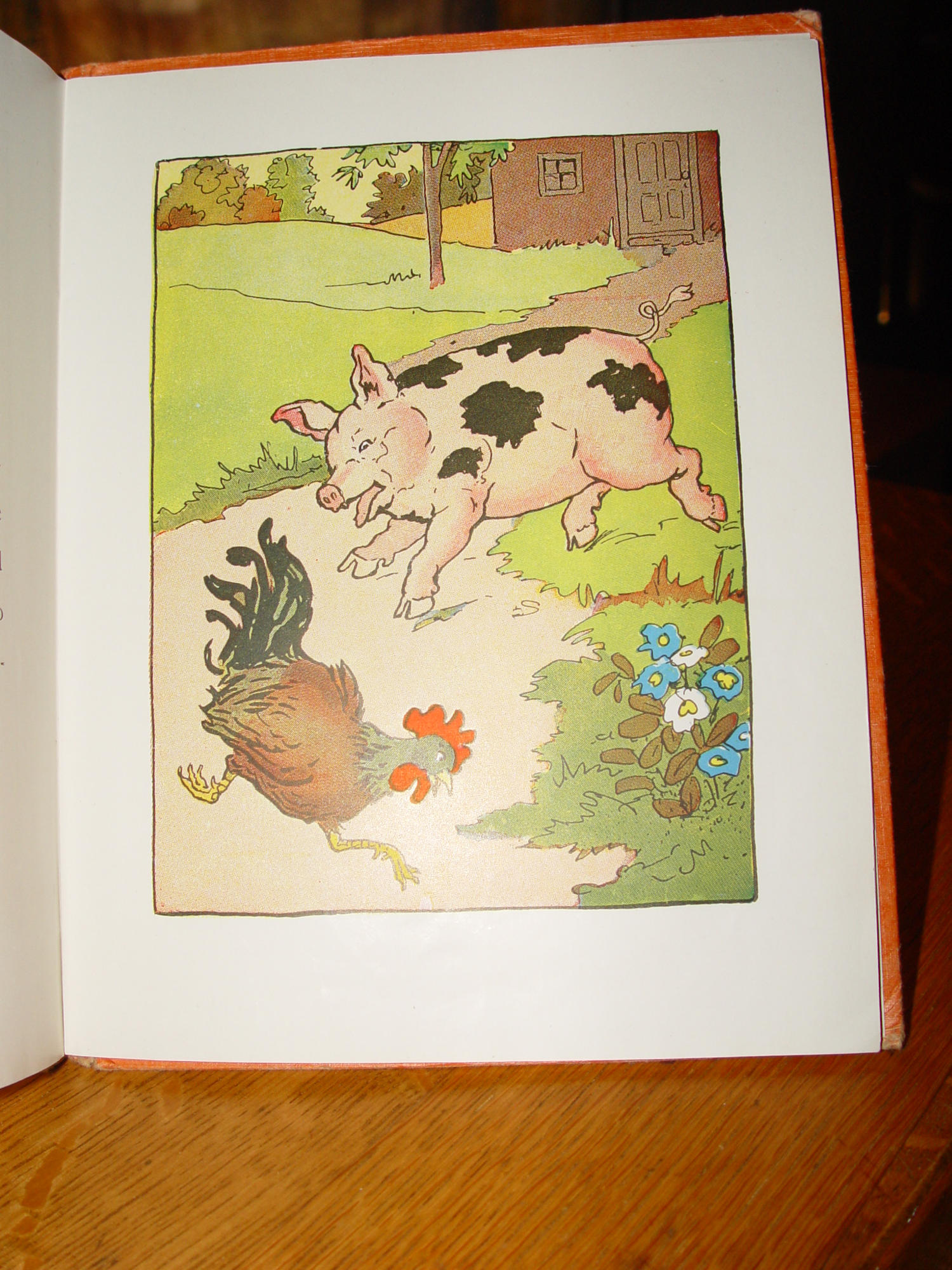 The Selfish Fox (Peter Rabbit Series)
Children's Book - 1940s