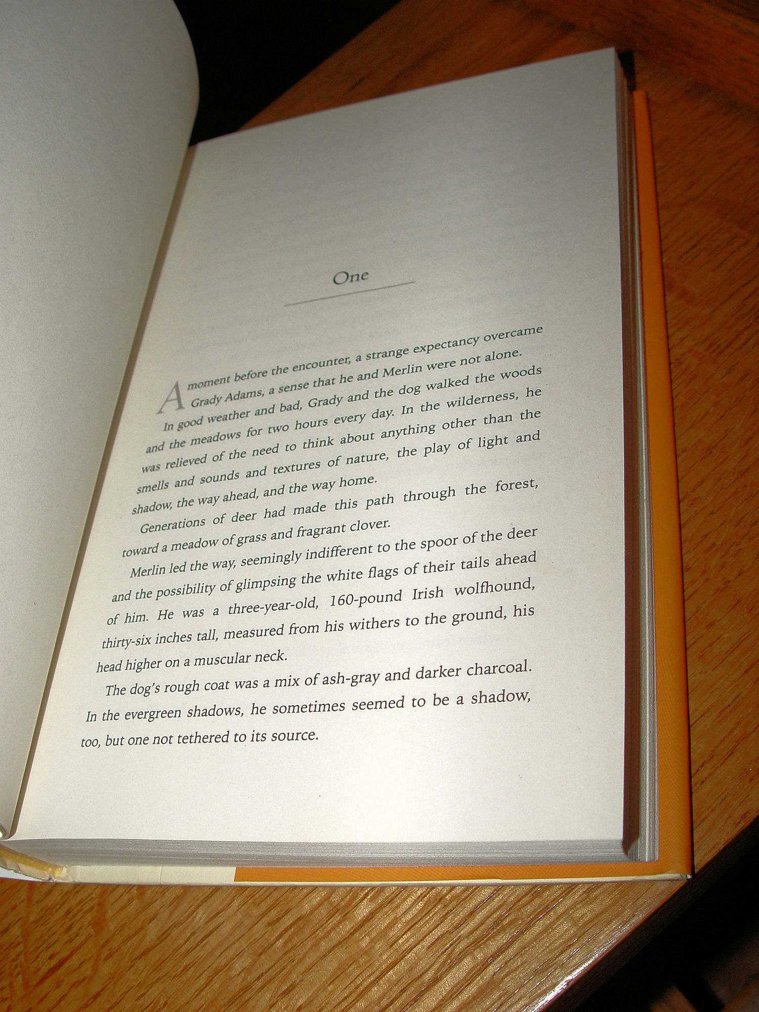 Breathless by Dean Koontz HC First
Edition - Suspense
