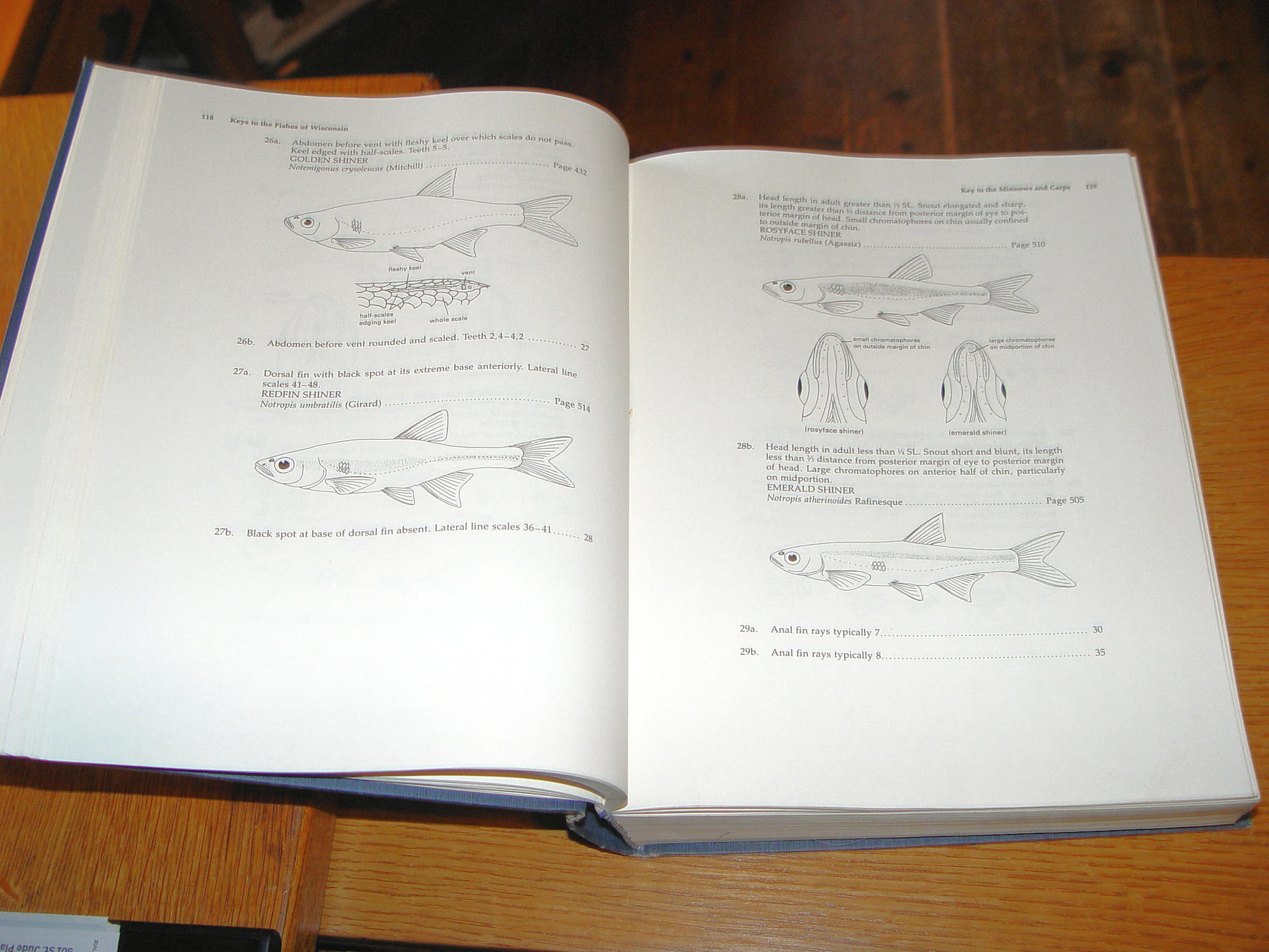 Fishes Of Wisconsin 1983 by George C.
Becker First Ed.