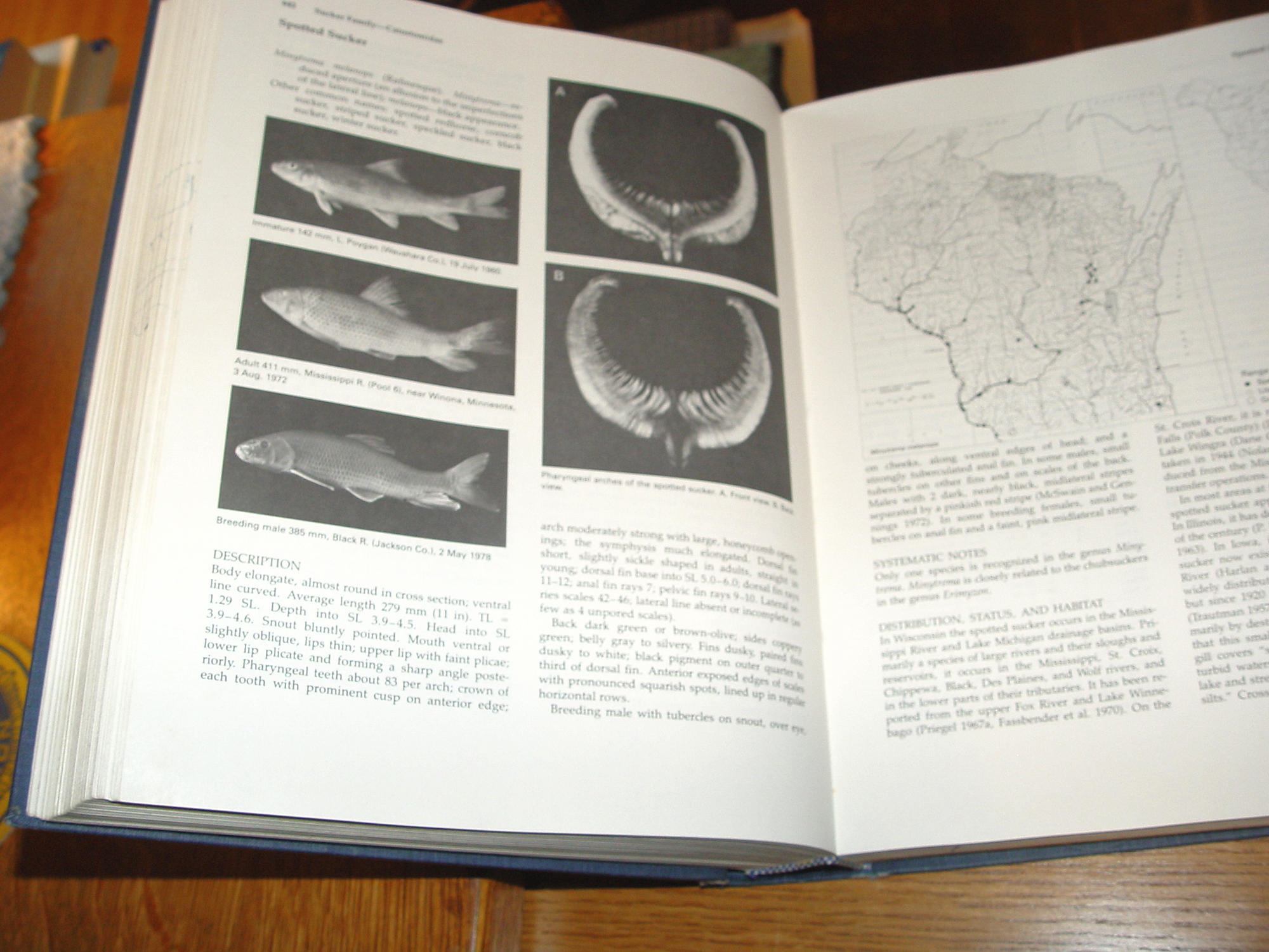 Fishes Of Wisconsin 1983 by George C.
Becker First Ed.
