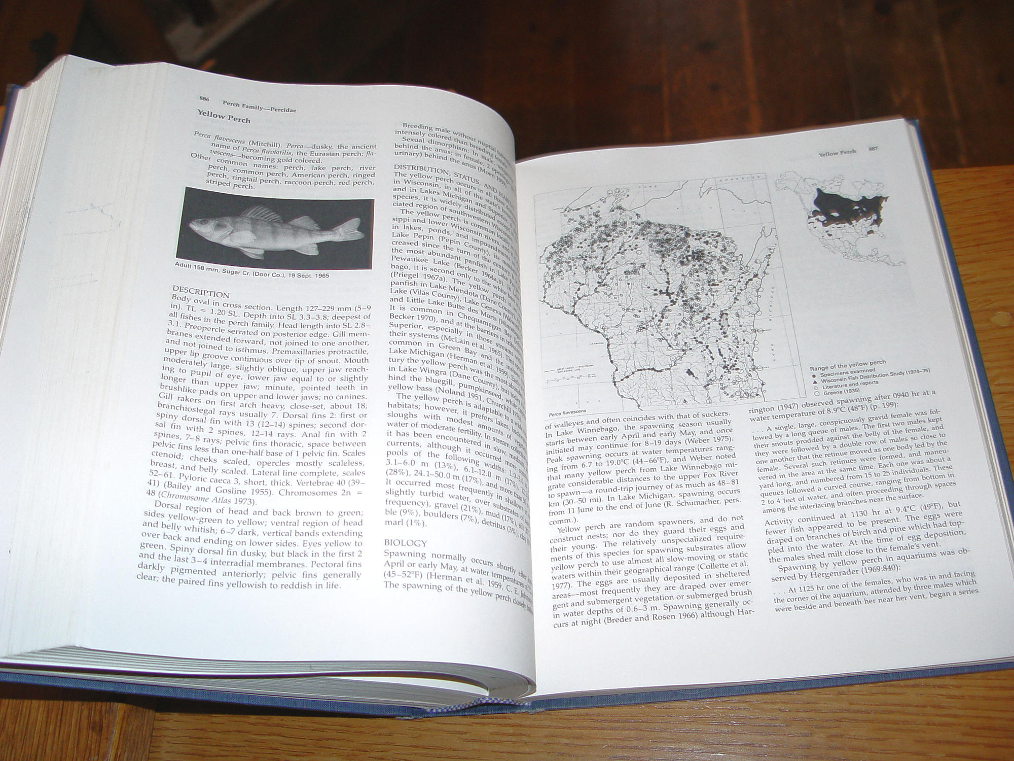 Fishes Of Wisconsin 1983 by George C.
Becker First Ed.