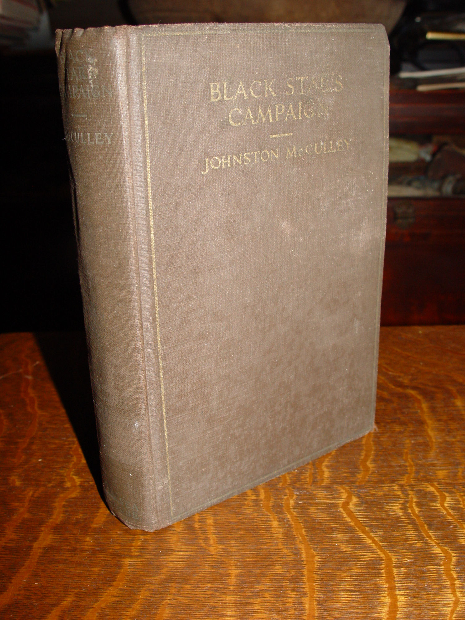 Black Star's
                        Campaign 1919 by Johnston McCulley