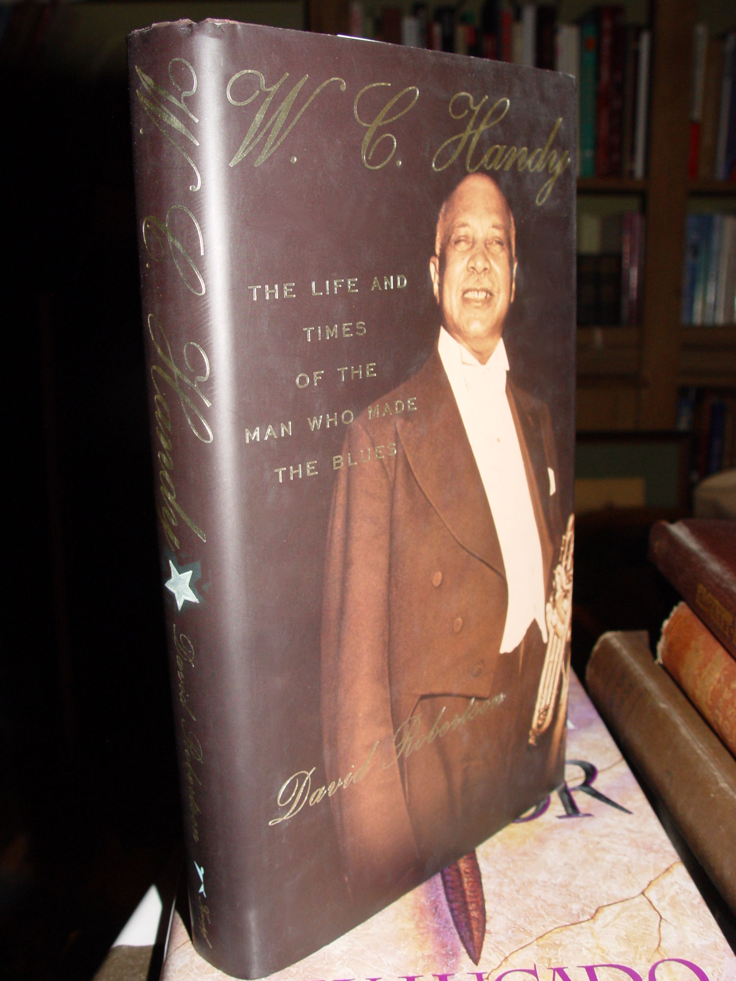 W. C. Handy: The Life and Times of the Man
                        Who Made the Blues 2009 David Robertson
