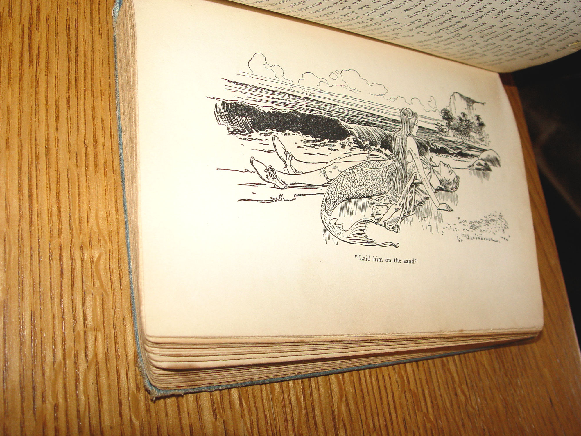 The Outlook Fairy Book for Little People
1903 by Laura Winnington, J. Conacher Illust.