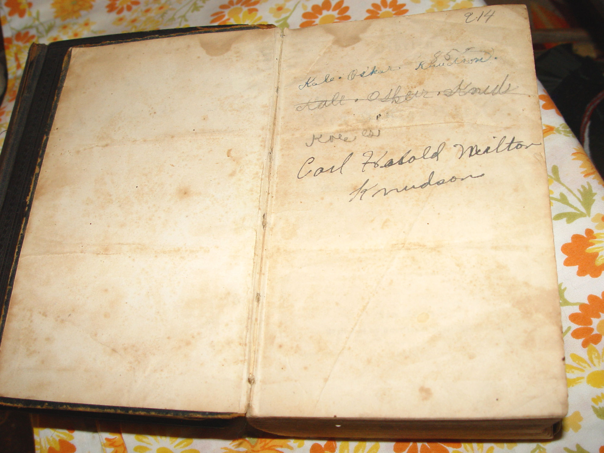 1859 Bibelen eller Den Hellige Skrift,
                          Antique Danish Bible Knudson Family MN