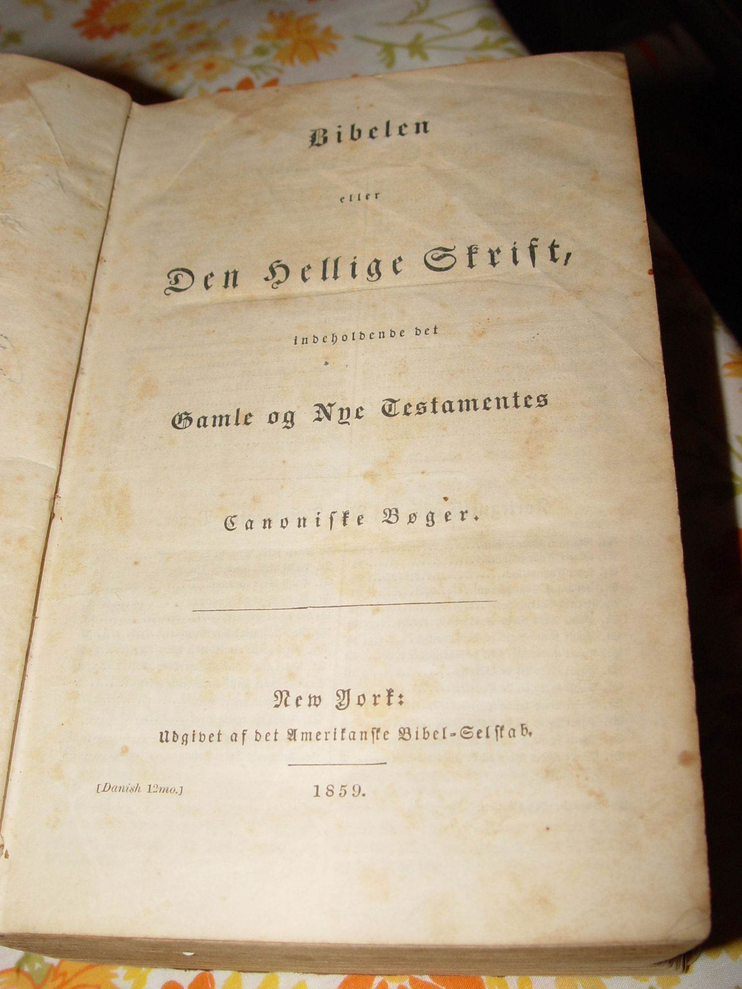 1859 Bibelen eller Den Hellige Skrift,
                          Antique Danish Bible Knudson Family MN