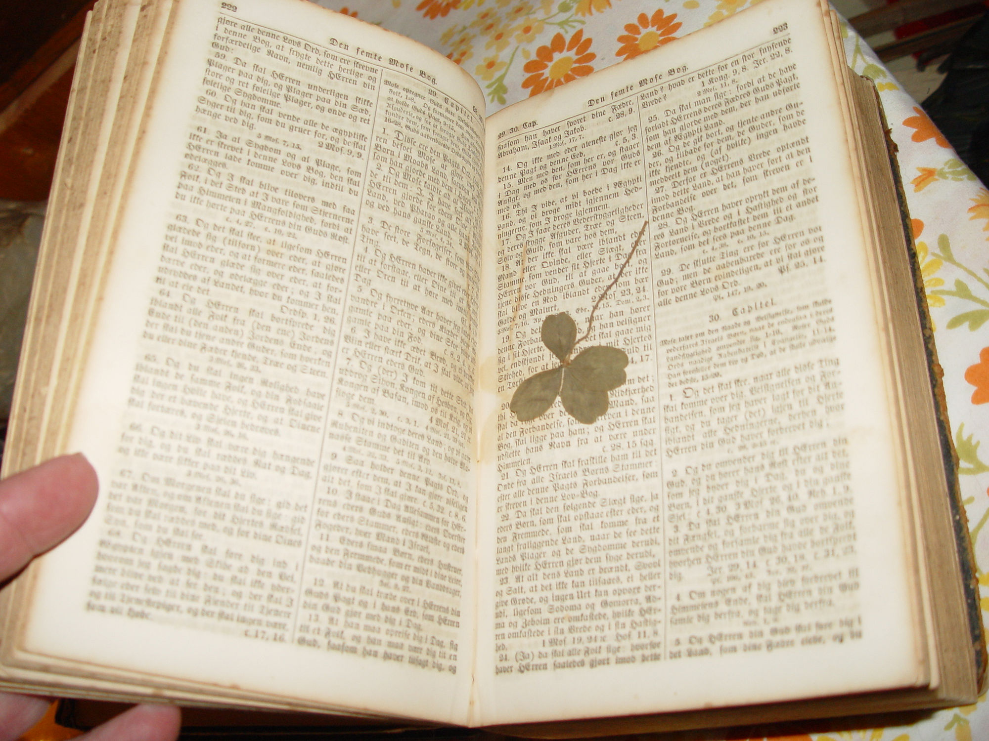1859 Bibelen eller Den Hellige Skrift,
                          Antique Danish Bible Knudson Family MN