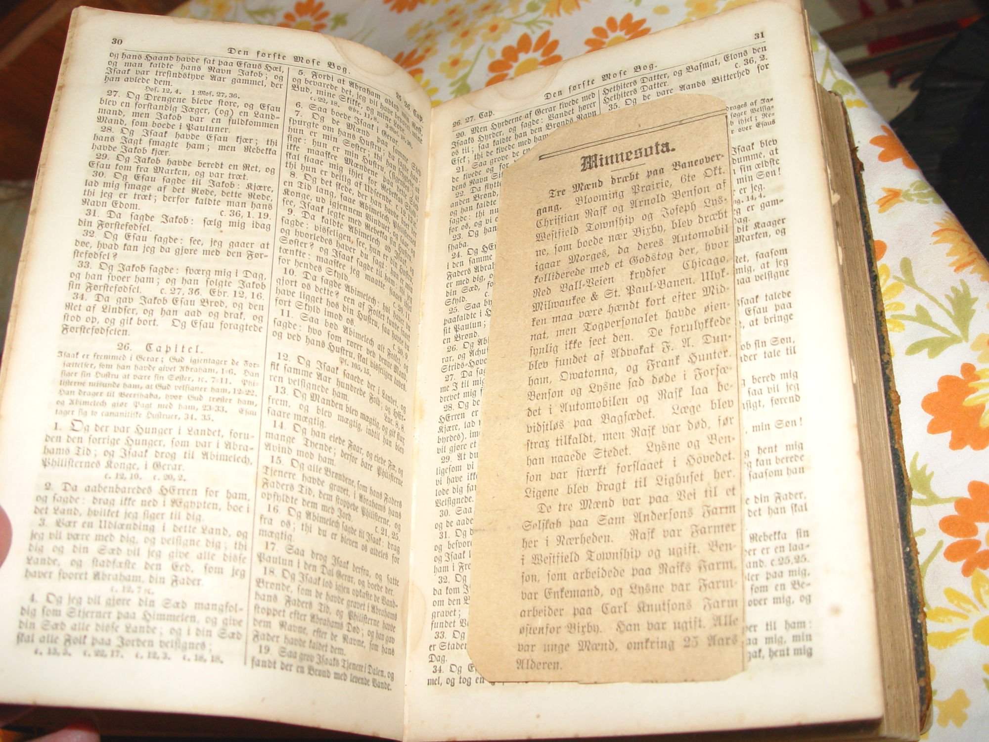 1859 Bibelen eller Den Hellige Skrift,
                          Antique Danish Bible Knudson Family MN