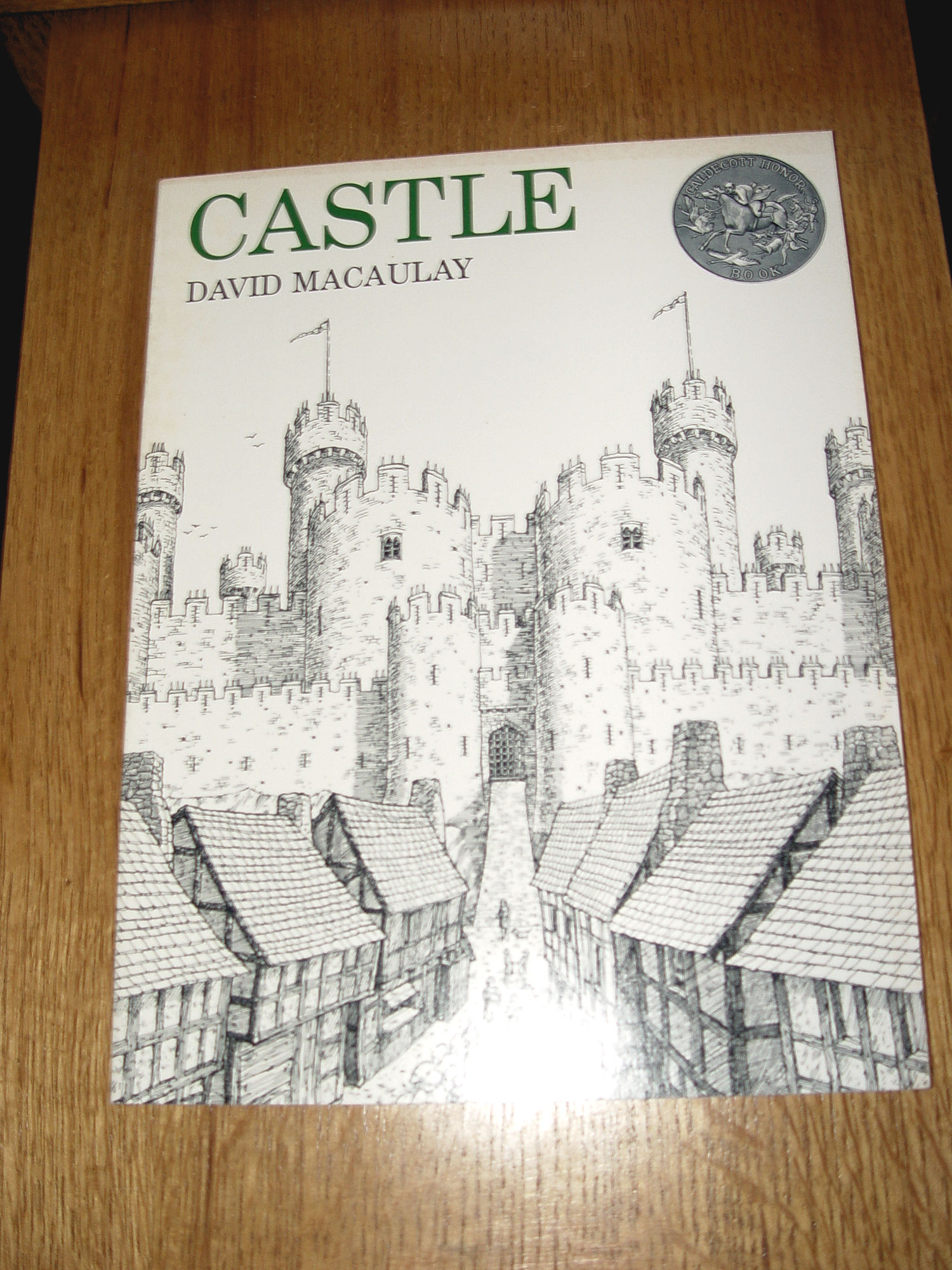 Castle -
                        Architectural design book by David Macaulay
                        1977
