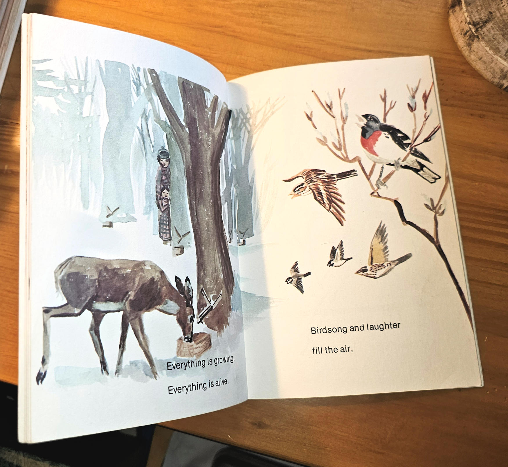 Shemay: The Bird in the Sugarbush —
Anishinabe Reading Materials (1975)