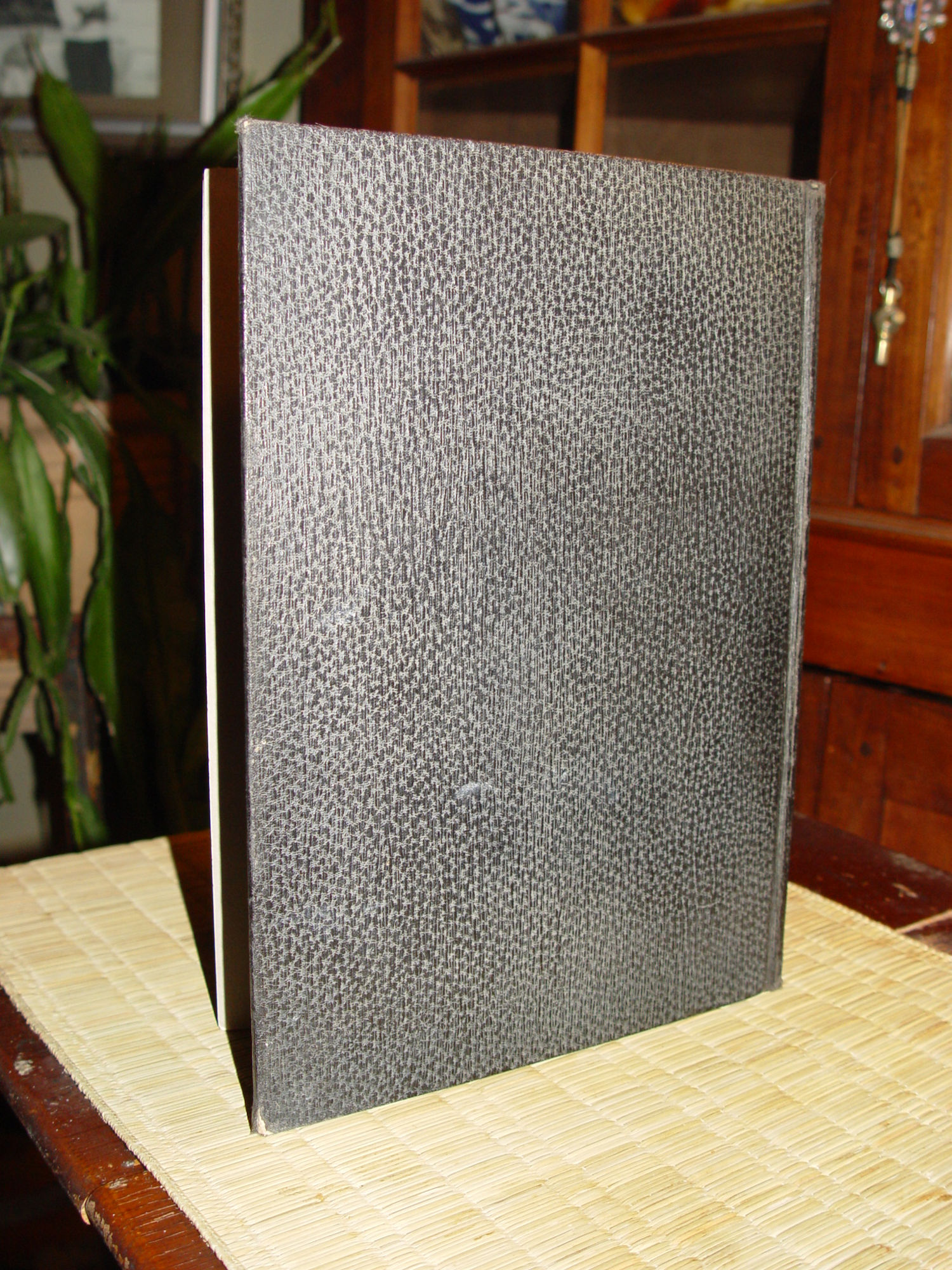 1925 'Praeceptor' Yearbook, Annual -
                          Moorhead, Minnesota