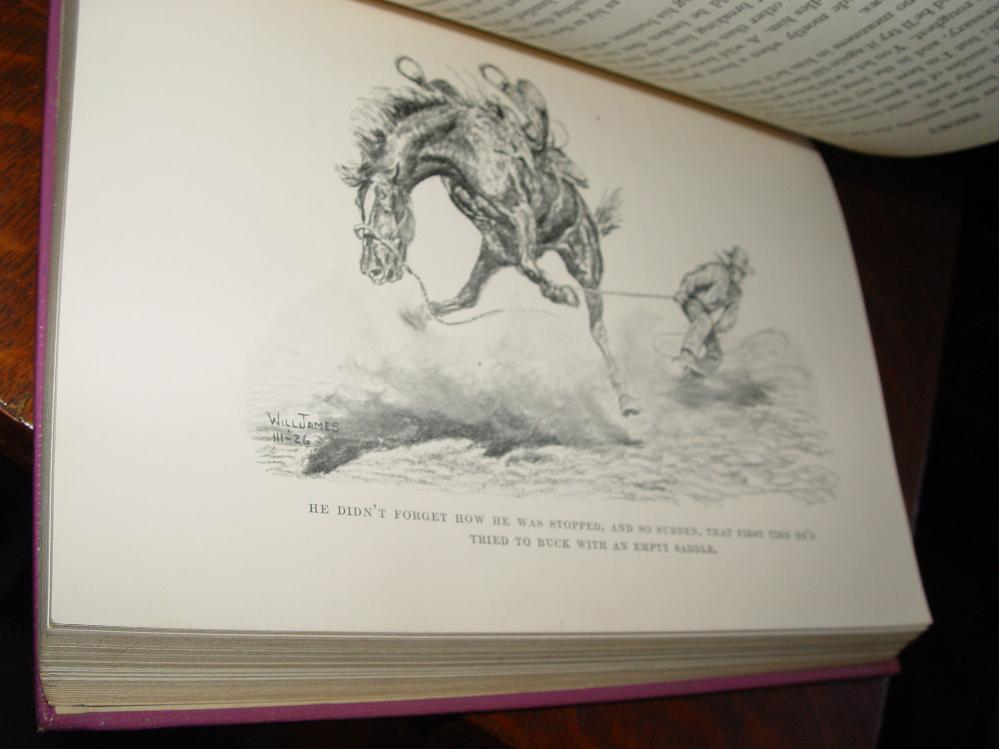 Smoky: The Cow Horse – 1929 by Will
                          James