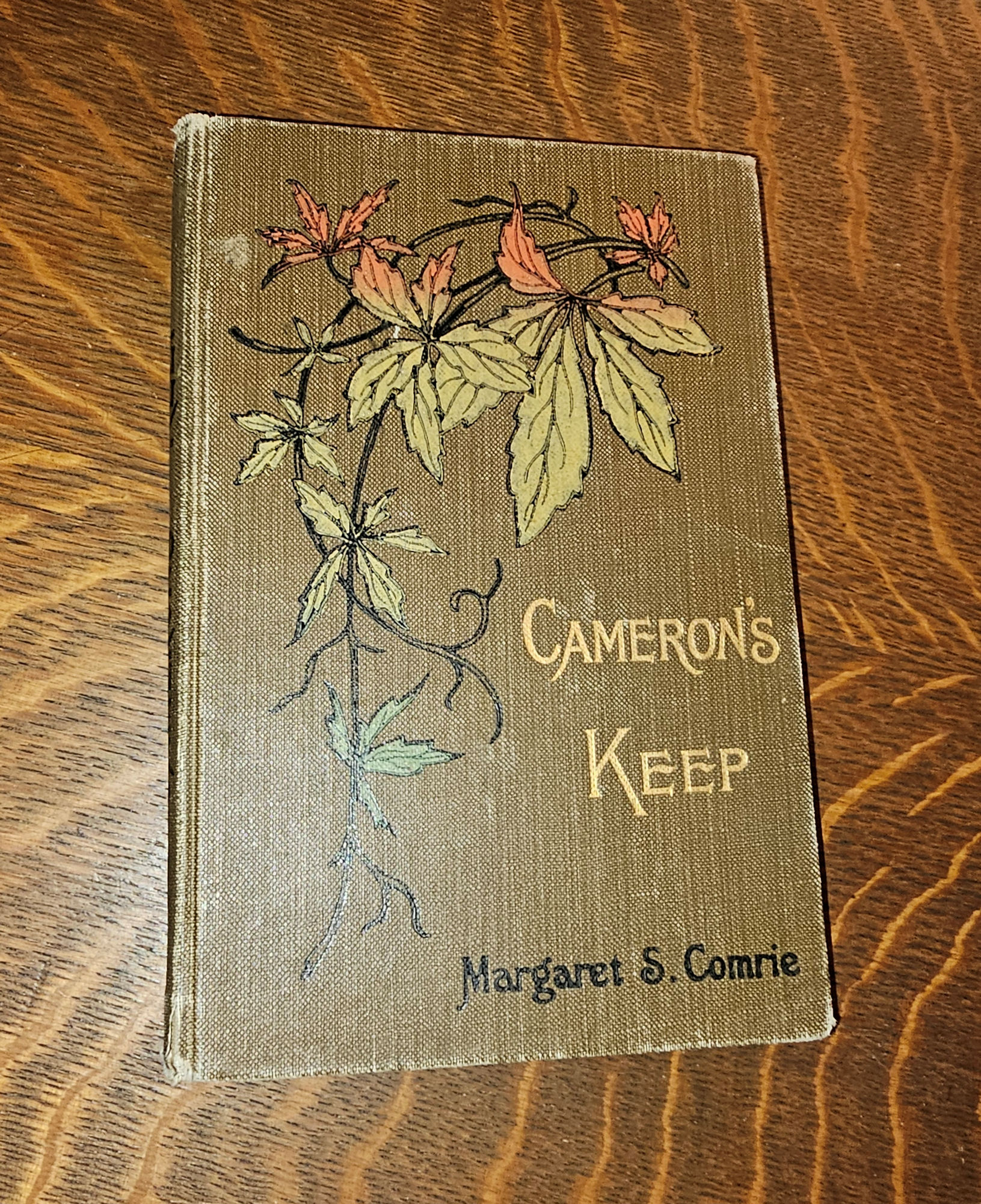 Cameron's Keep; or, The Course and The
                        Crown (Little Dot Series) by Margaret S. Comrie